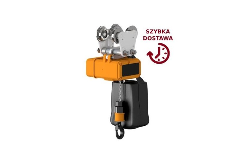 Wciągnik łańcuchowy elektryczny stacjonarny na oczku/na haku/wózek swobodny 80 - 320kg